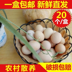 林中散养土鸡蛋 新鲜鸡蛋20枚装 江苏养鸡场草鸡蛋 农家放养...
