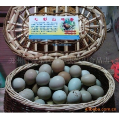 供应野鸡蛋