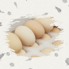 【北方特产】双黄大鸡蛋 初生鸡蛋 高营养 高蛋白