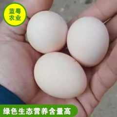 农家散养土鸡蛋 绿色食用农家土鸡蛋 散装阳山本地鸡蛋 可批发