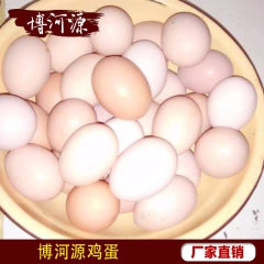 厂家批发 正宗鸡蛋 土鸡蛋农家散养草鸡蛋营养丰富柴鸡蛋