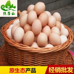 隐居山绿色品牌鲜鸡蛋 生态饲养鲜鸡蛋 批零兼售商品鲜鸡蛋
