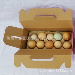 供应正宗散养新鲜鸡蛋 玫瑰园散养鸡蛋 货源充足 农家鸡蛋口感