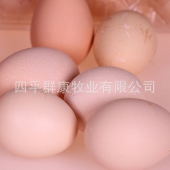 大量批发 厂家直销 农家散养 乌鸡蛋 礼盒装 50枚/盒