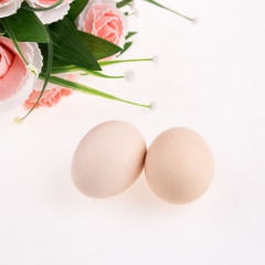 粉蛋鸡蛋 纯天然绿色鸡蛋 原生态新鲜鸡蛋 厂家直销批发