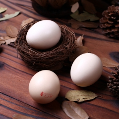 【洪门】土鸡蛋 15枚盒装鸡蛋无公害营养丰富孕妇鸡蛋批发