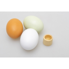 木制仿真食物 鸡蛋 鸭蛋 咸蛋组合 儿童过家家 彩绘制作品批...