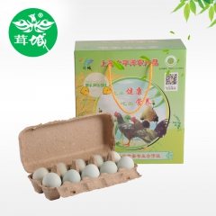 茸城优质绿壳鸡蛋 可供婴幼妇选择 送礼佳品