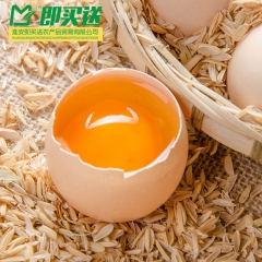 正宗农家散养柴鸡蛋 新鲜土鸡蛋 纯天然放养笨鸡蛋草鸡蛋