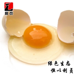 利贞乌鸡蛋  永定散养乌鸡蛋 新鲜自养 客家原生态乌鸡蛋