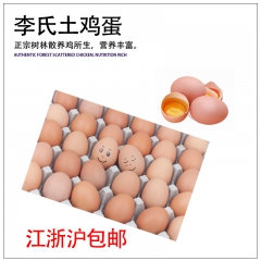 安吉李氏土鸡蛋 专吃稻谷 营养丰富