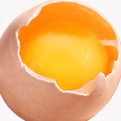 土鸡蛋树林散养 2天内新鲜土鸡蛋 可一件代发 40枚包邮