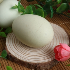 绿壳鸡蛋 纯天然树林里散养 养生绿壳鸡蛋