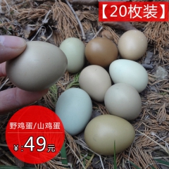 荒老岭 野鸡蛋 山林放养野生鸡蛋农村新鲜野鸡蛋58包邮20枚