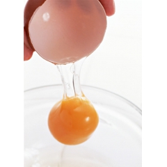 【杭州千岛湖宝晶黑鸡蛋】 乌骨鸡蛋 笨鸡蛋（8只）