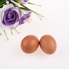 红壳鸡蛋 纯天然绿色鸡蛋 原生态新鲜鸡蛋 厂家直销批发