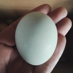 土鸡蛋 源自大别山村民野生放养 口感新鲜 营养丰富 英山特产...