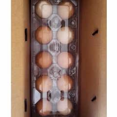 土鸡养殖专业合作社直供散养虫草鸡蛋 原生态虫草蛋 20枚装批...