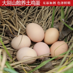 农家土鸡蛋 正宗农村散养草鸡蛋原生态柴鸡蛋新鲜固始笨鸡蛋30...