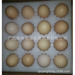 广西瑶山正宗农家散养、林下散养土鸡、土鸡蛋