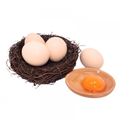 农家有机树林散养土鸡蛋 纯天然新鲜笨鸡蛋20枚装破损包赔
