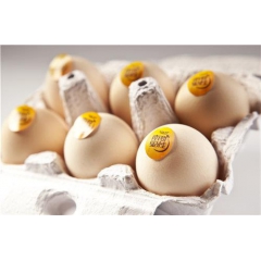 绿色生态蛋，农作物喂养土鸡蛋，品牌土鸡蛋