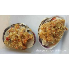 野生黄贝 天鹅蛋 全规格 厂家直销 海鲜自助专用