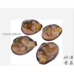 天鹅蛋 天鹅蛋学名紫石房蛤 冻天鹅蛋