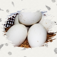 【丹东特产】鸭绿江边生态大鹅蛋 单枚165克 礼品鹅蛋 团购...