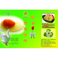 批发供应团购礼品原生态鲜鹅蛋