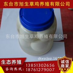 长期供应无公害农家鹅蛋 生态大鹅蛋  绿色食品 欢迎选购