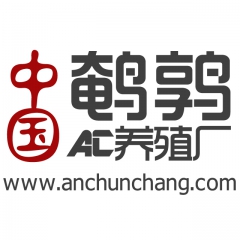 江西省吉安市鹌鹑蛋批发价格