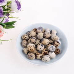 原生态新鲜鹌鹑蛋 健康营养美味 天然有机生鹌鹑蛋批发零售