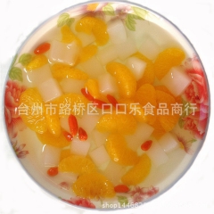 糖水什锦水果罐头 大听装3公斤kg 自助餐饮烤肉烘焙店 量大...