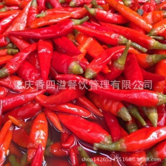 批发红朝天椒 尖泡椒 红小米辣泡椒 红辣椒 餐厅酒楼专用 4...