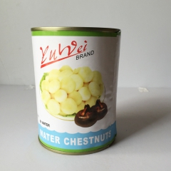 批发供应荸荠罐头 清水脱皮马蹄罐头 白马蹄蔬菜罐头567g/...