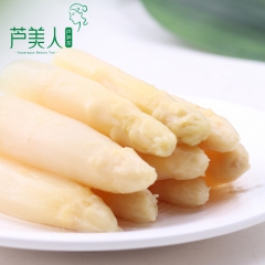 新鲜蔬菜罐头 芦笋罐头 东山特产全条笋礼盒装 产地直销 美味