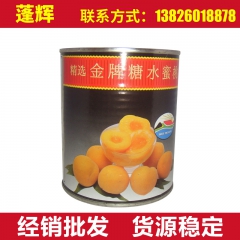 批发销售 黄桃水果罐头 精选金牌糖水蜜桃罐头 进口罐头热销