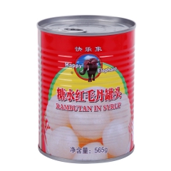 糖水红毛丹罐头 水果罐头 565g 、（厂家直供）支持批发零...
