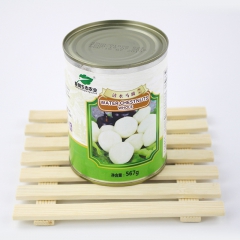 厂家直销 清水马蹄罐头 水果罐头 新鲜水果罐头 罐头食品厂家...