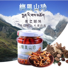 云南特产 梅里山珍 康秀聚 野生菌罐头 即食美味野生菌 厂家...