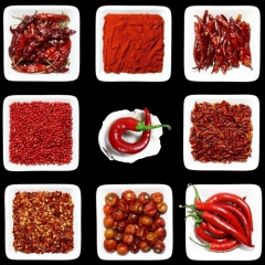 山东干辣椒四季均有