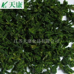 厂家热销 脱水西兰花蕊 西兰花脱水蔬菜 天康脱水蔬菜菜花干