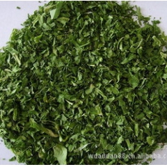 【专业生产】脱水蔬菜 菠菜/100％纯天然绿色食品 健康美味...