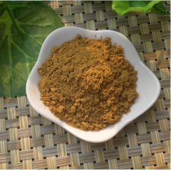 厂家直销 石榴皮提取物10:1 优质原料