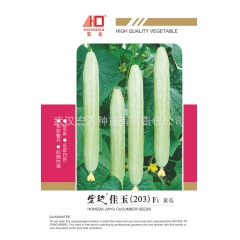 高档黄瓜品种:宏达佳玉（203）F1 好吃，好看，好卖，独特...