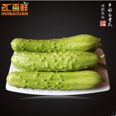 汇百鲜新鲜白玉黄瓜山东烟台海阳特产无公害瓜果批发5斤装
