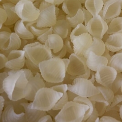 厂家直销 蚬壳型通心粉 意面意粉 餐厅专用粉 空心粉