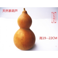 大量供应天然素葫芦 高19-22CM  葫芦代表福禄 家居风...