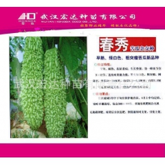 一代杂交苦瓜：春秀 （10克装）早熟、抗病、高产新品种